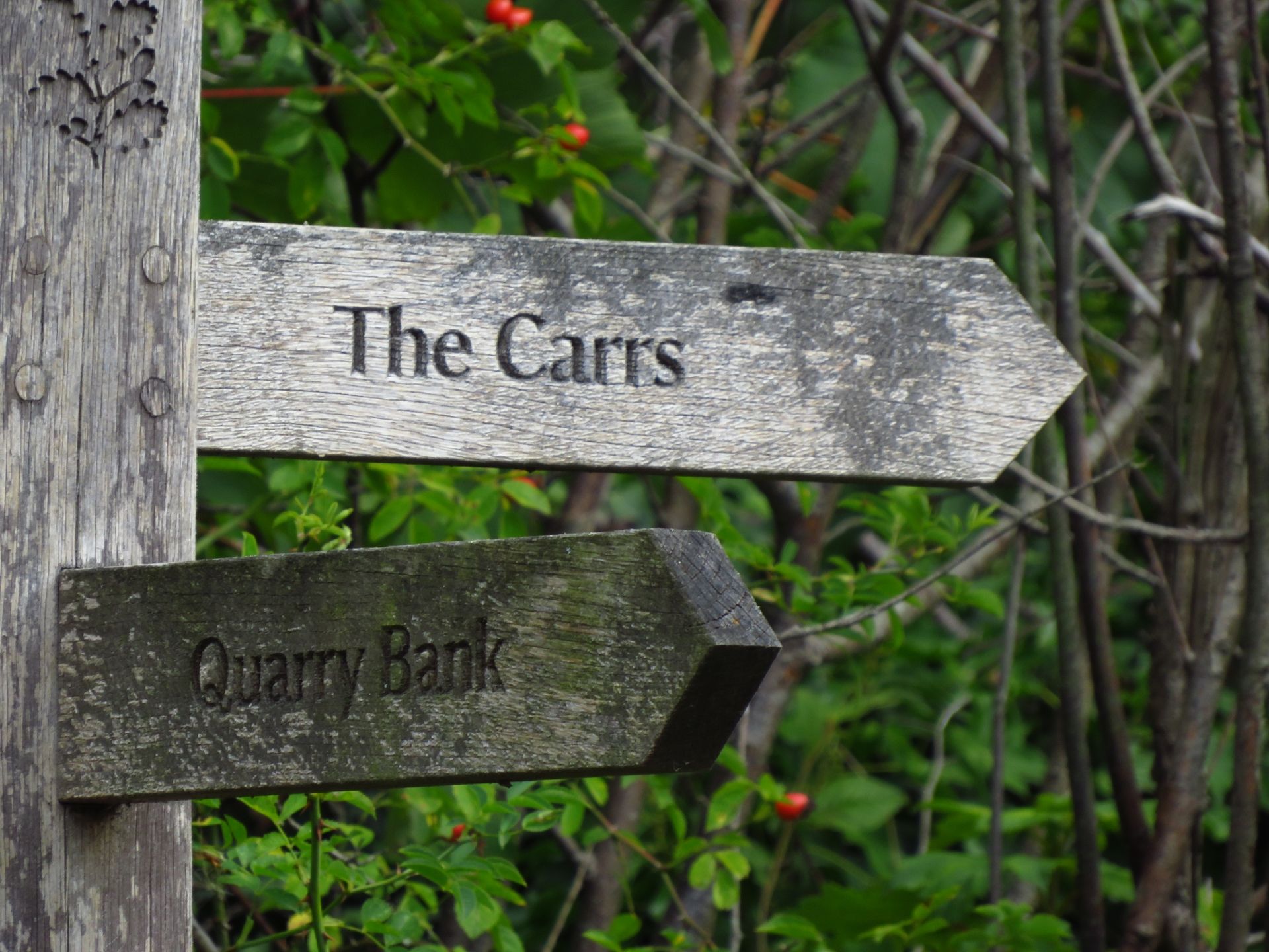 A wooden fingerpost reads 