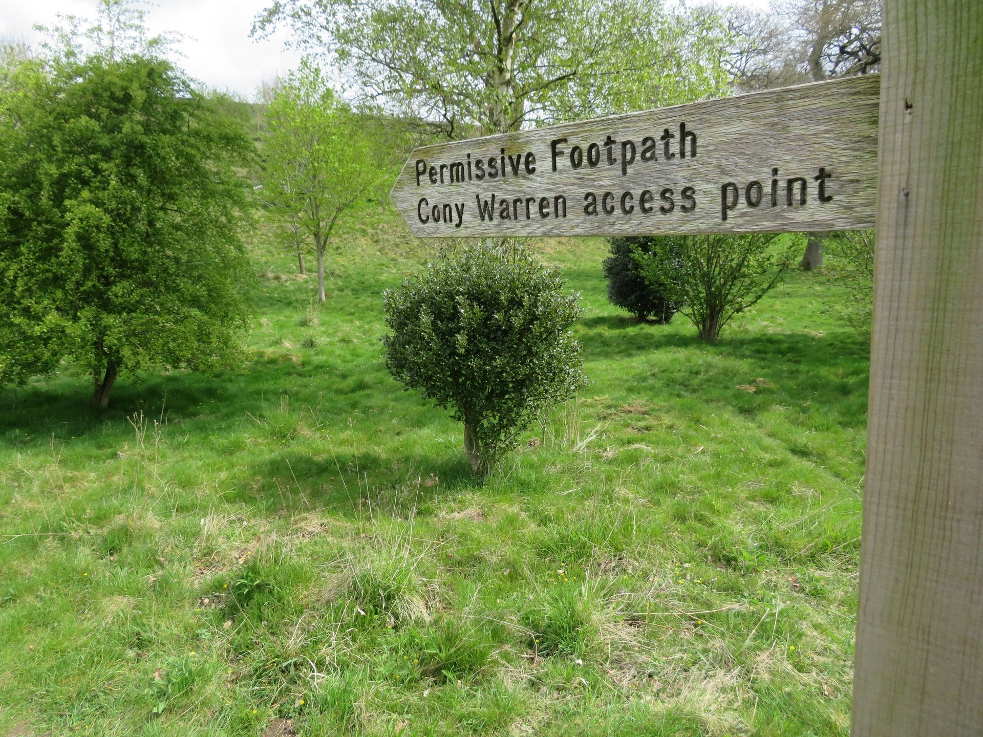 A wooden sign reads 