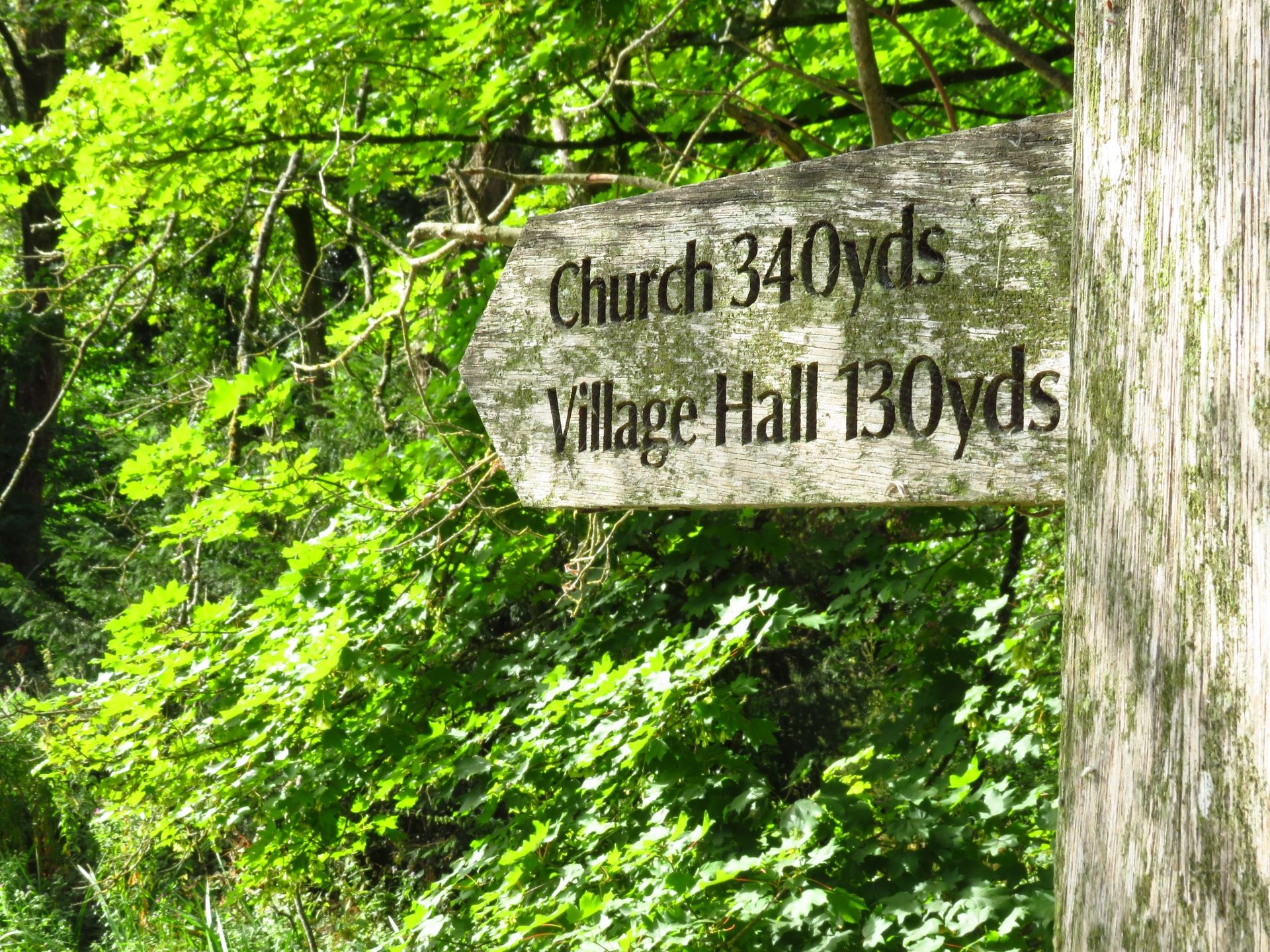 A wooden fingerpost reads 