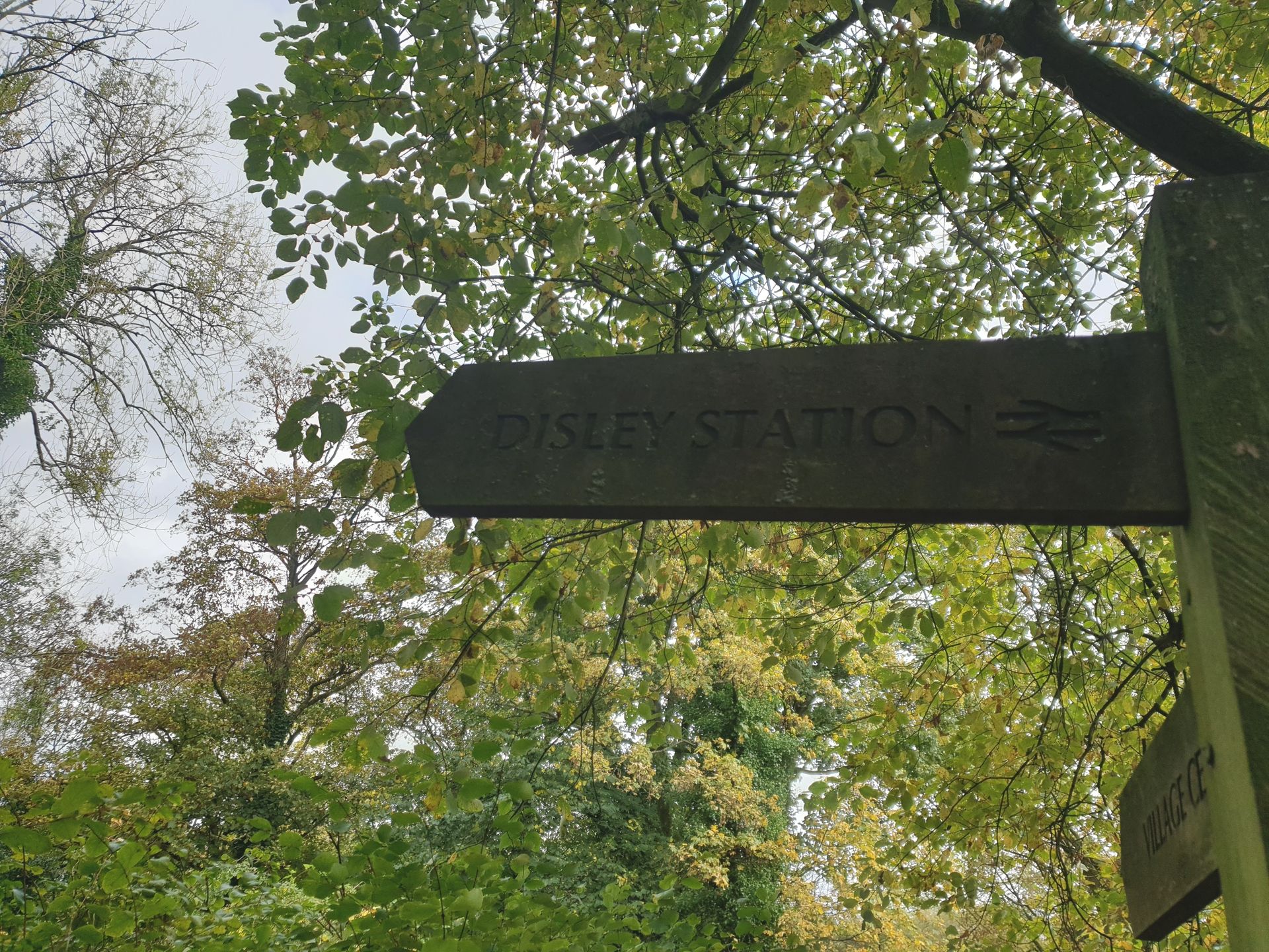 The text 
