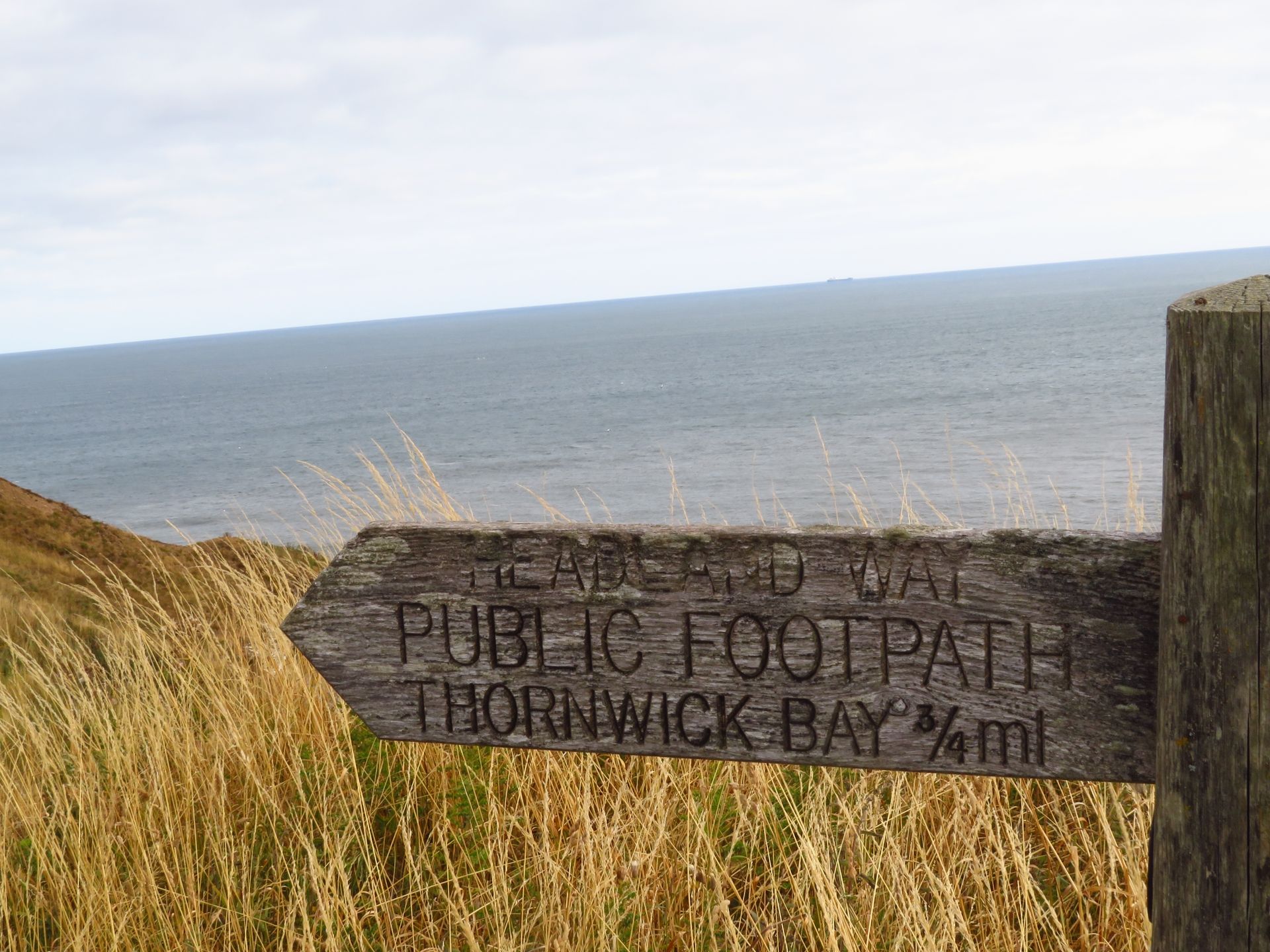 A wooden fingerpost reads 