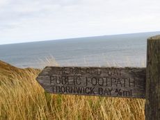A wooden fingerpost reads 