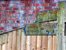 A mossy wooden fingerpost