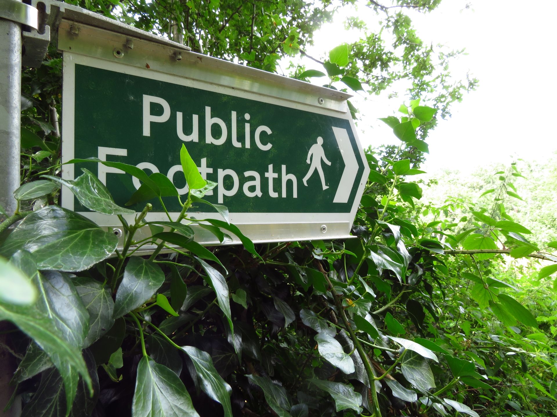 A green fingerpost reads 