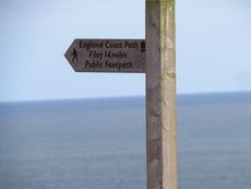 A wooden fingerpost reads 