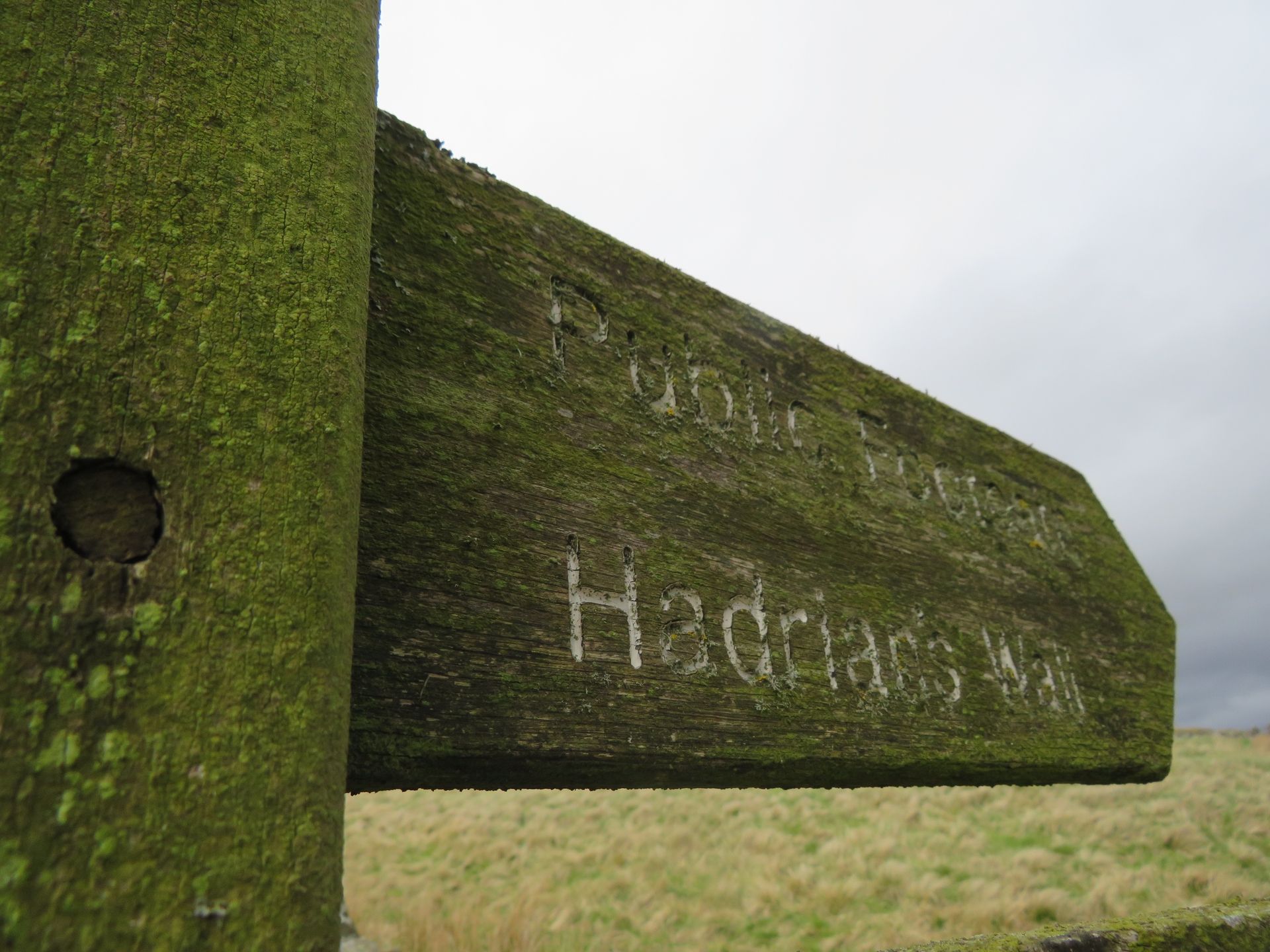 A wooden sign, covered in lichen, pointing to Hadrian's Wall