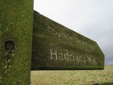 A wooden sign, covered in lichen, pointing to Hadrian's Wall